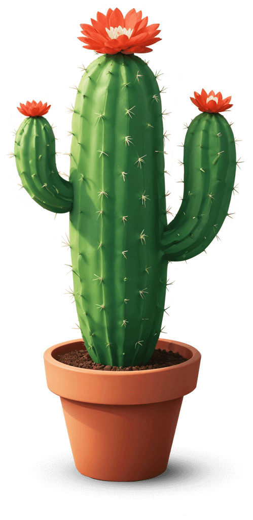 Kaktus